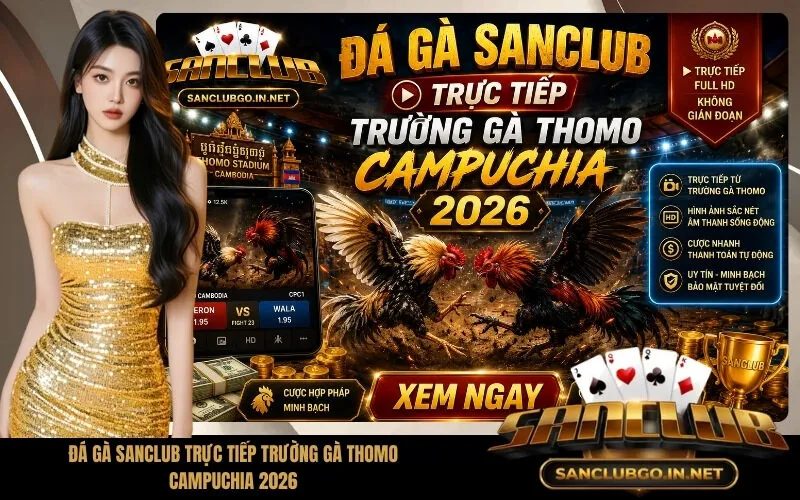 Đá Gà SanClub Trực Tiếp Trường Gà Thomo CamPuChia 2026