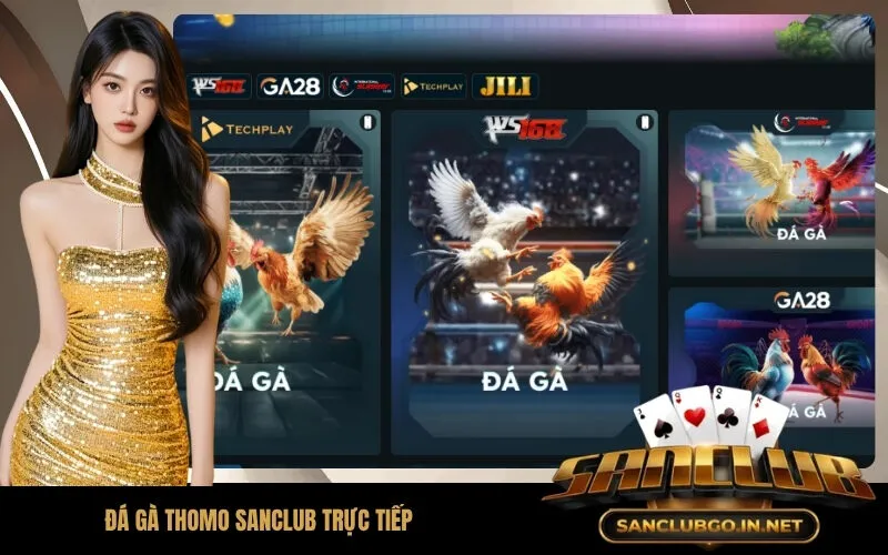 Đá Gà Thomo SanClub Trực Tiếp