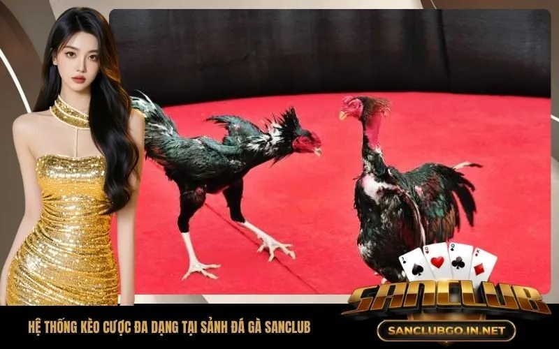 Hệ Thống Kèo Cược Đa Dạng Tại Sảnh Đá Gà SanClub