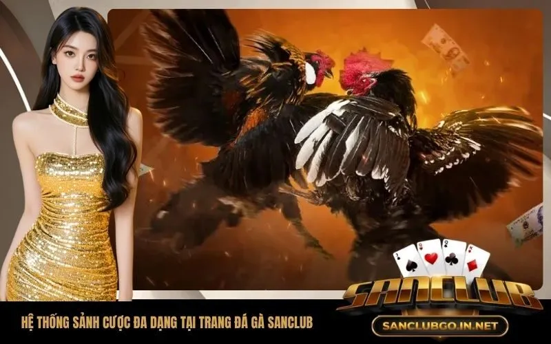 Hệ thống sảnh cược đa dạng tại trang đá gà SanClub