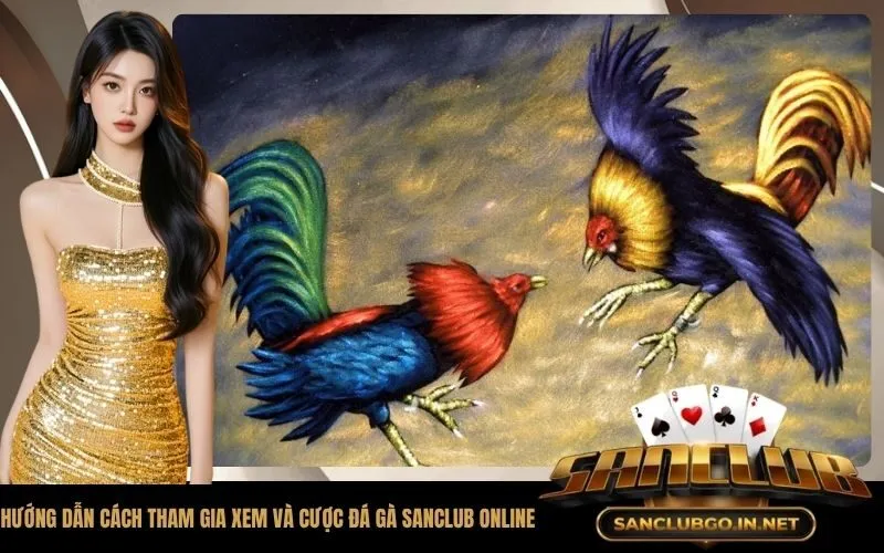 Hướng dẫn cách tham gia xem và cược đá gà SanClub online