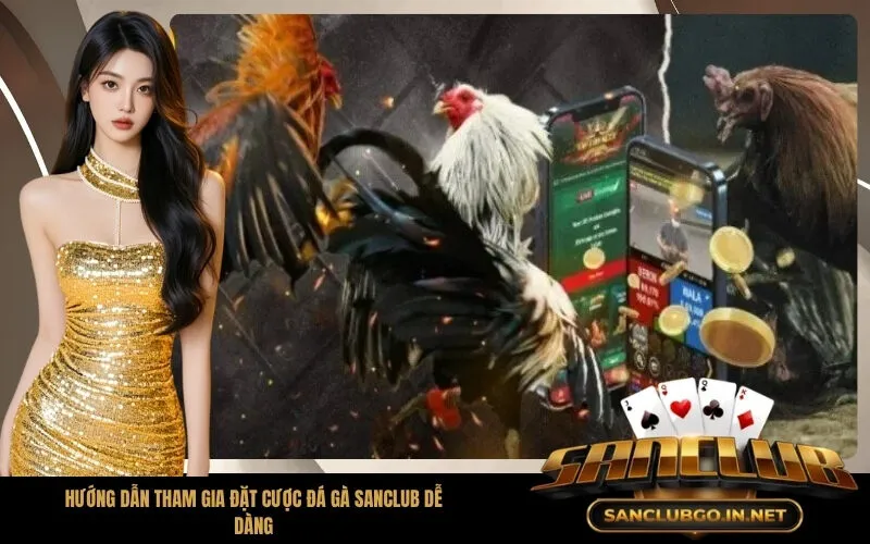 Hướng dẫn tham gia đặt cược đá gà SanClub dễ dàng