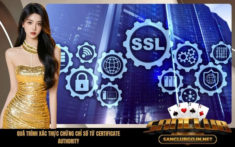 Quá Trình Xác Thực Chứng Chỉ Số Từ Certificate Authority
