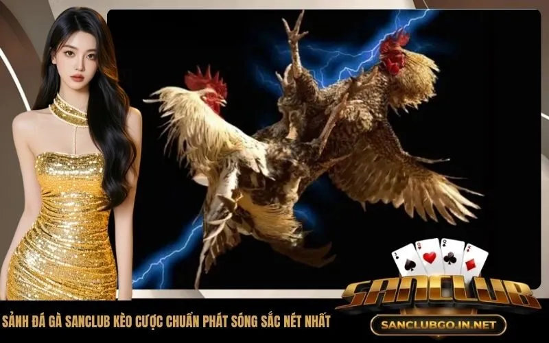 Sảnh Đá Gà SanClub